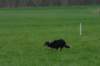 img_3724_small.jpg