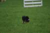 img_3726_small.jpg
