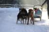 img_1142_small.jpg