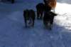 img_1157_small.jpg