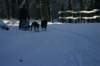 img_1174_small.jpg