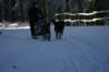 img_1175_small.jpg