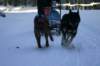 img_1177_small.jpg