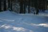 img_1187_small.jpg