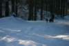 img_1188_small.jpg