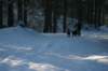 img_1189_small.jpg