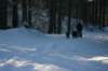 img_1190_small.jpg