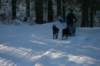 img_1192_small.jpg