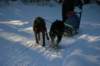 img_1194_small.jpg