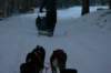 img_1206_small.jpg