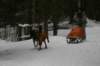 img_1820_small.jpg