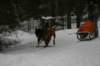 img_1821_small.jpg