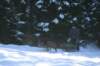 img_1681_small.jpg