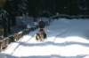 img_8768_small.jpg