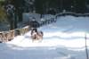 img_8770_small.jpg