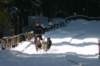 img_8772_small.jpg