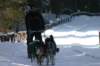 img_8774_small.jpg