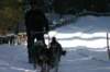 img_8775_small.jpg