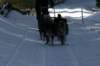 img_8778_small.jpg