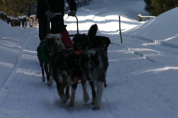 img_8779.jpg