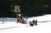 img_8781_small.jpg