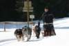 img_8784_small.jpg