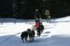 img_8789_small.jpg