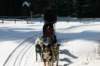 img_8792_small.jpg