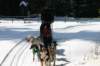 img_8793_small.jpg