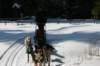 img_8798_small.jpg