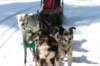 img_8799_small.jpg