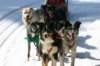 img_8800_small.jpg