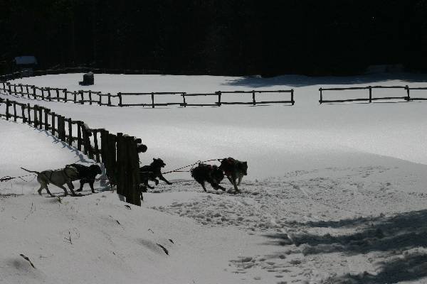 img_8805.jpg