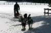 img_8808_small.jpg