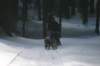 img_8813_small.jpg