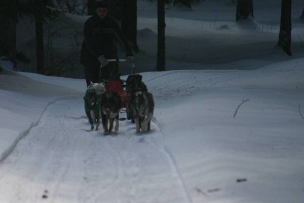 img_8815.jpg