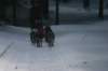 img_8815_small.jpg