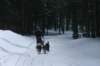 img_8820_small.jpg