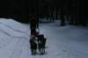 img_8821_small.jpg