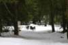 img_8532_small.jpg
