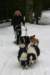 img_8536_small.jpg