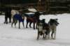 img_8558_small.jpg