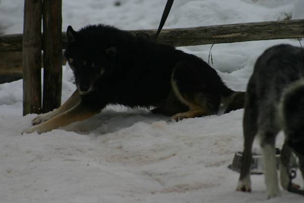 img_8566.jpg