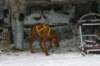 img_2054_small.jpg