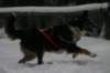 img_2083_small.jpg