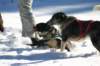 img_2321_small.jpg