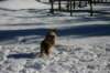 img_2339_small.jpg