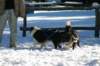img_2350_small.jpg