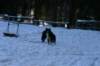 img_2383_small.jpg