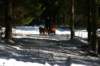 img_2390_small.jpg